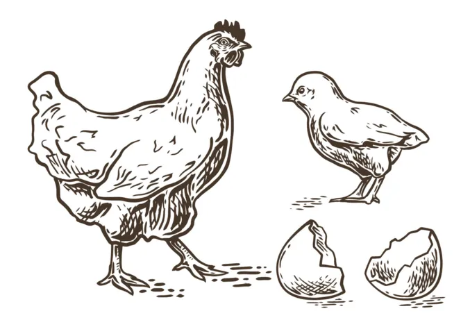 Imagem ilustrativa da imagem FOLHA CONFERE: Por que o leite de caixinha dura tanto? E por que os frangos crescem tão rápido?