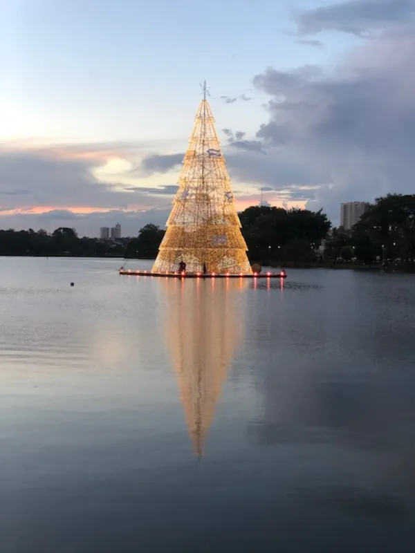 Imagem ilustrativa da imagem A CIDADE FALA - Cidade em luzes