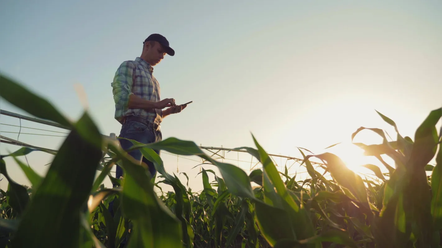 Acompanhando o desenvolvimento da agricultura, o ensino de agronomia está em constante mudança, incorporando na matriz curricular conteúdos relacionados aos avanços tecnológicos