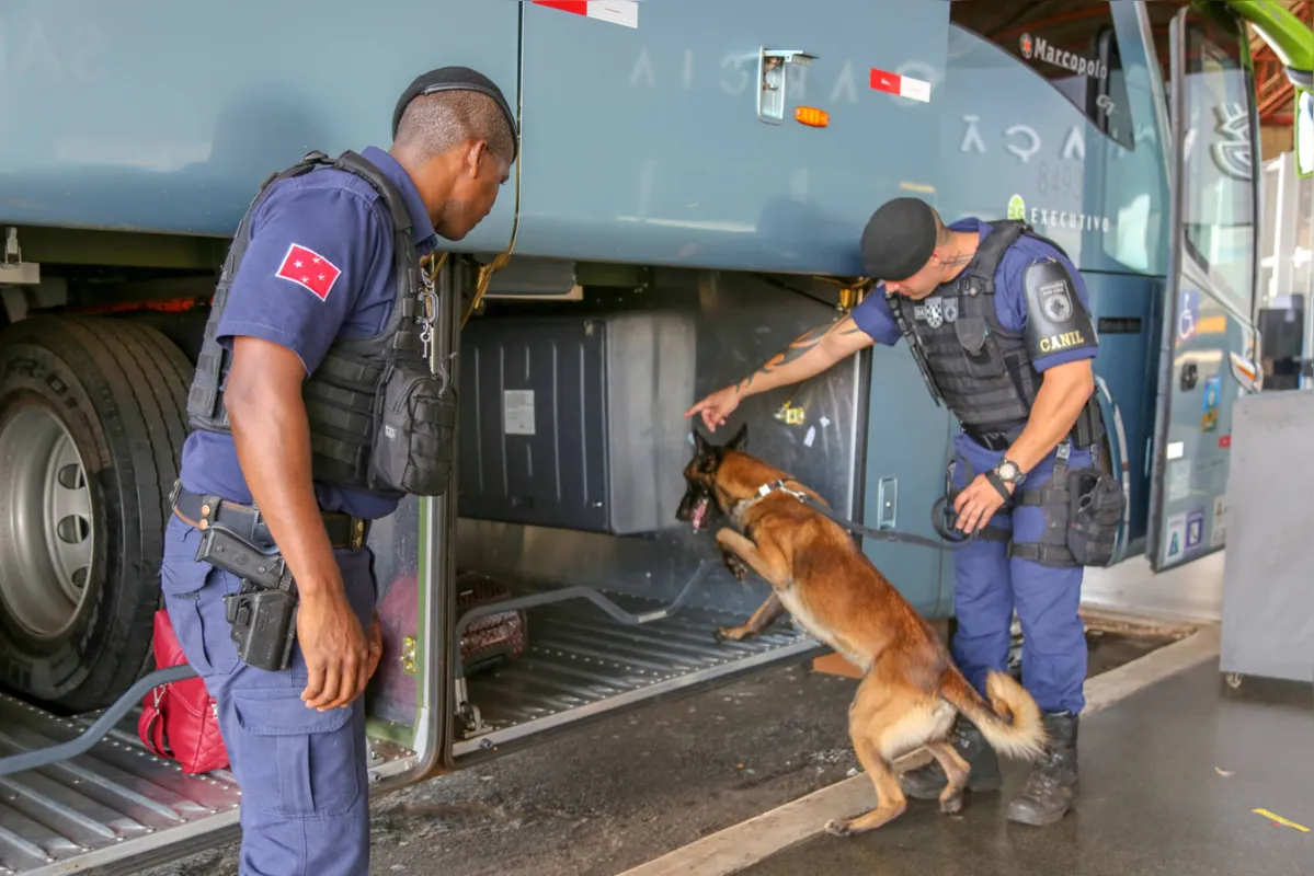 O cão de faro é mais dócil, o de patrulha é preparado para situações hostis 