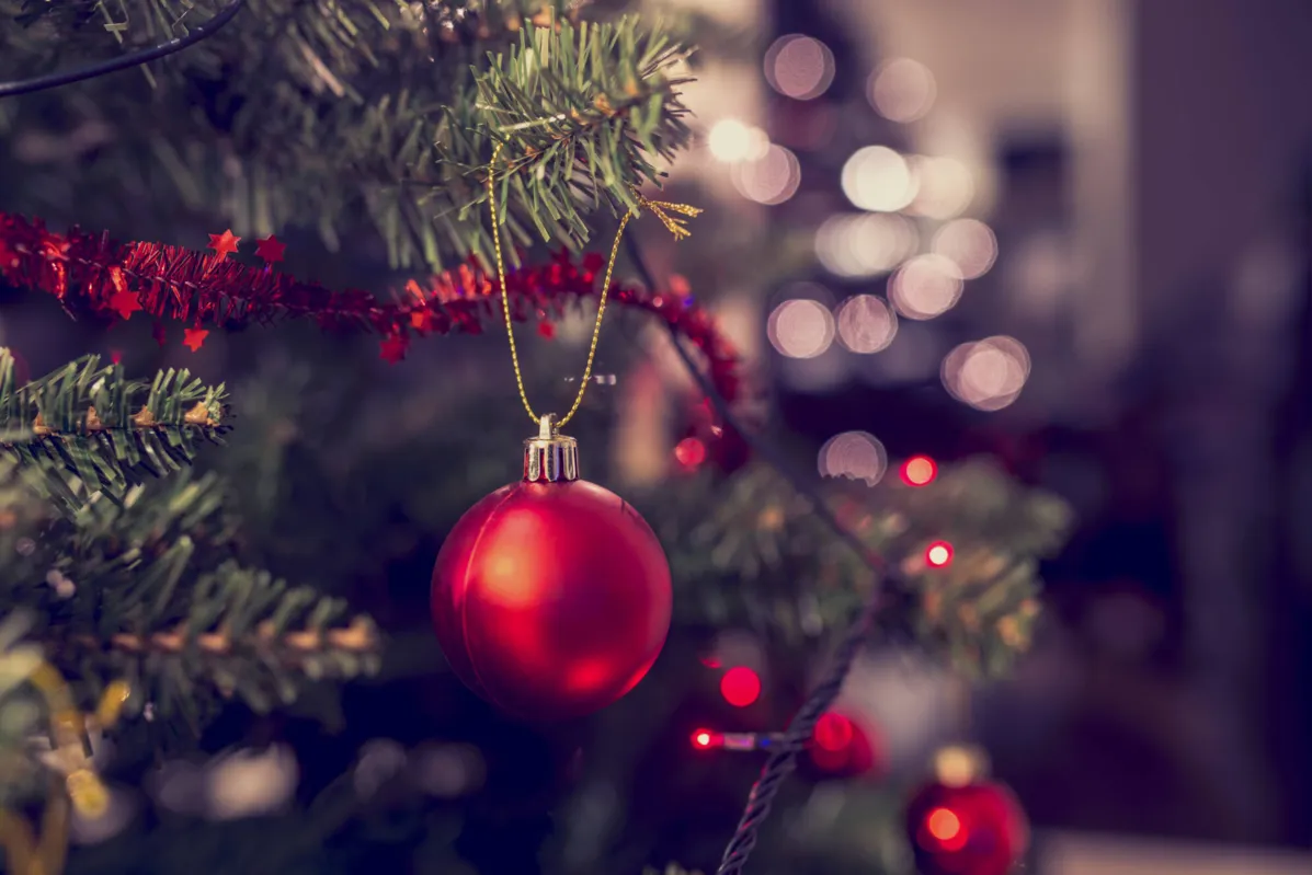 Imagem ilustrativa da imagem DEDO DE PROSA - Natal de 2020