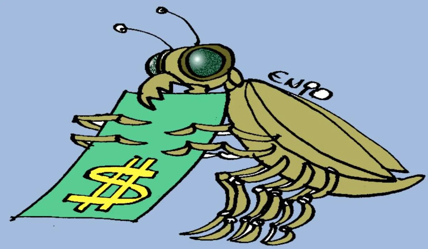 Imagem ilustrativa da imagem Dados atestam que eleição provocou alta da covid