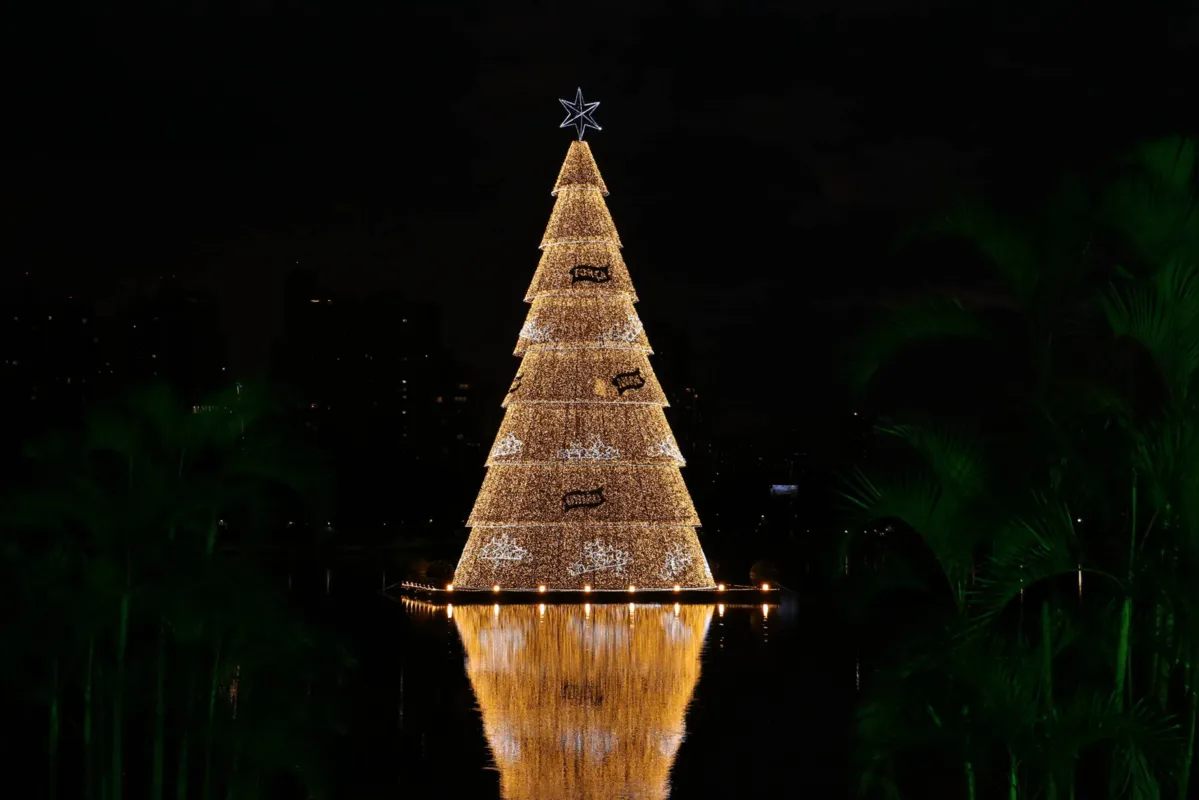 Imagem ilustrativa da imagem Dez árvores de Natal são iluminadas em Londrina
