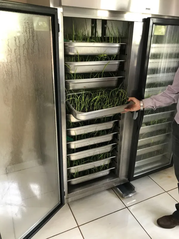 Imagem ilustrativa da imagem Empresas de Londrina se unem para desenvolver tecnologia 4.0 para o agro