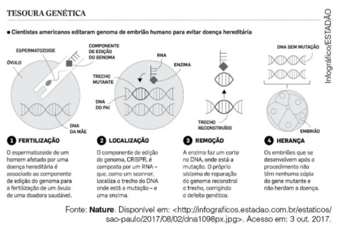 Imagem ilustrativa da imagem FOLHA ENEM| Caderno 8 - Ciências da Natureza