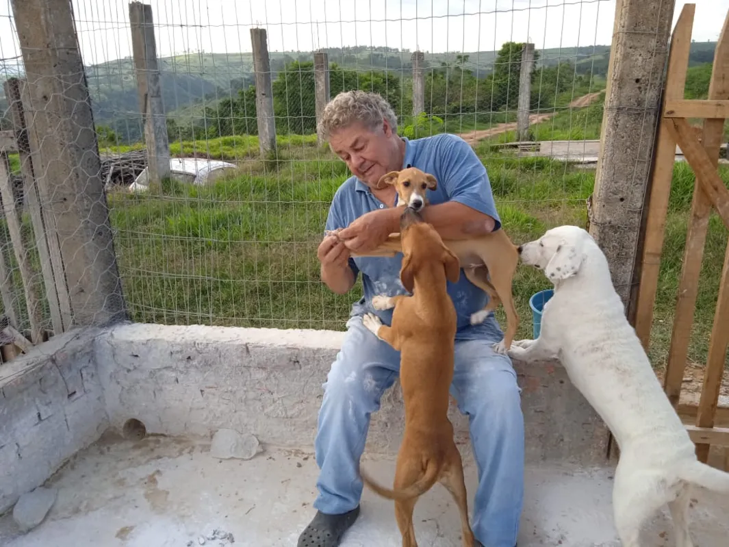 “Passo pontualmente às 7 horas, faço a limpeza, trato, cuido da água, e pego os animais no colo um por um”, afirmou Rui Lisboa