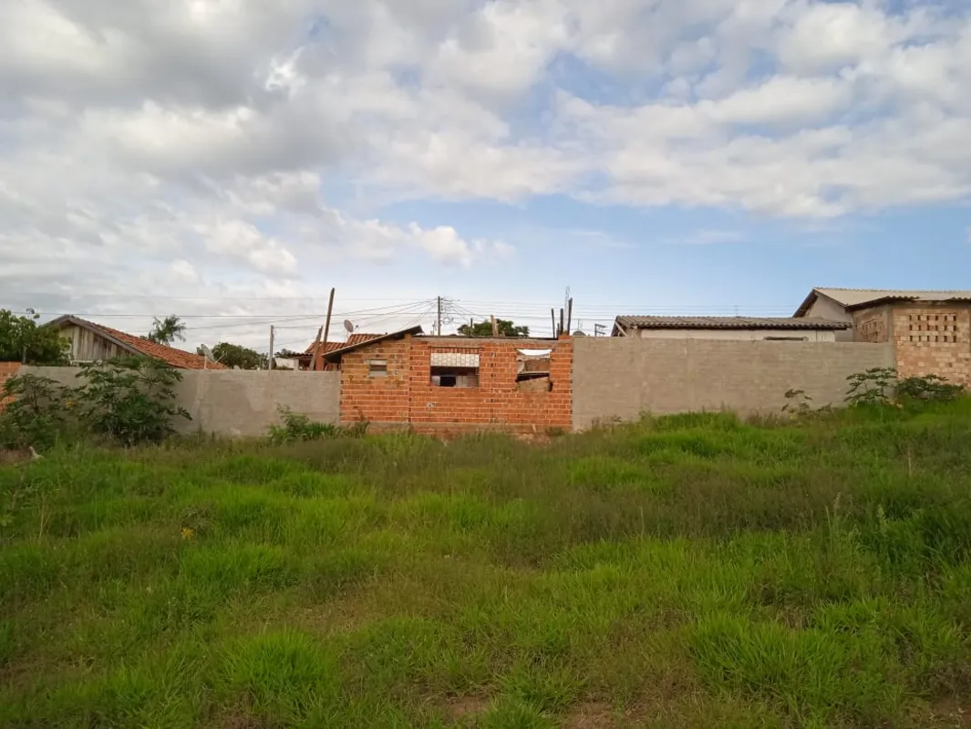Canil fica em área rural de Ibaiti, mas no limite com a área urbana. 