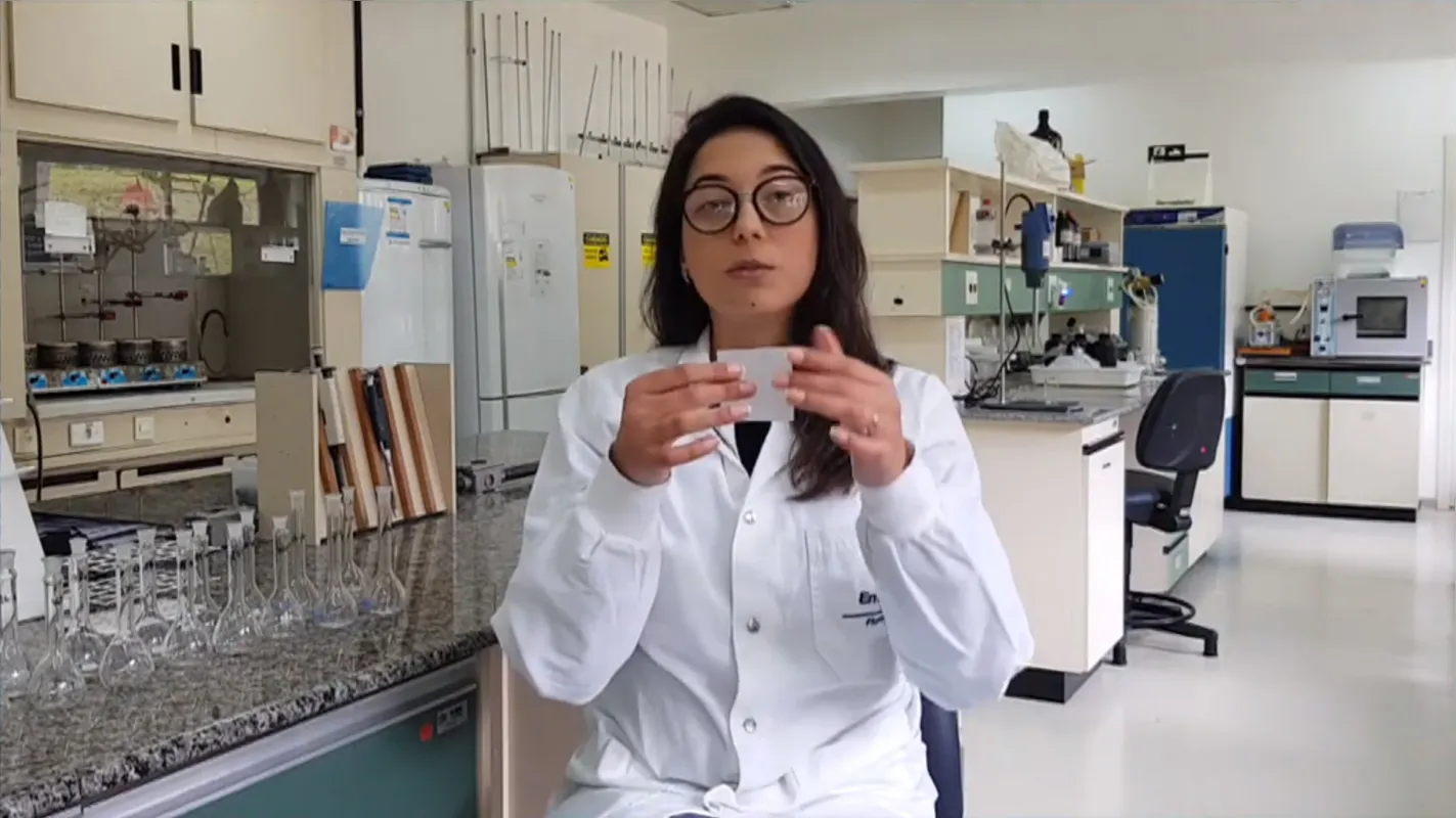  Francine Ceccon Claro, bolsista da Embrapa Florestas/UFPR: projeto é finalista em prêmio nacional 