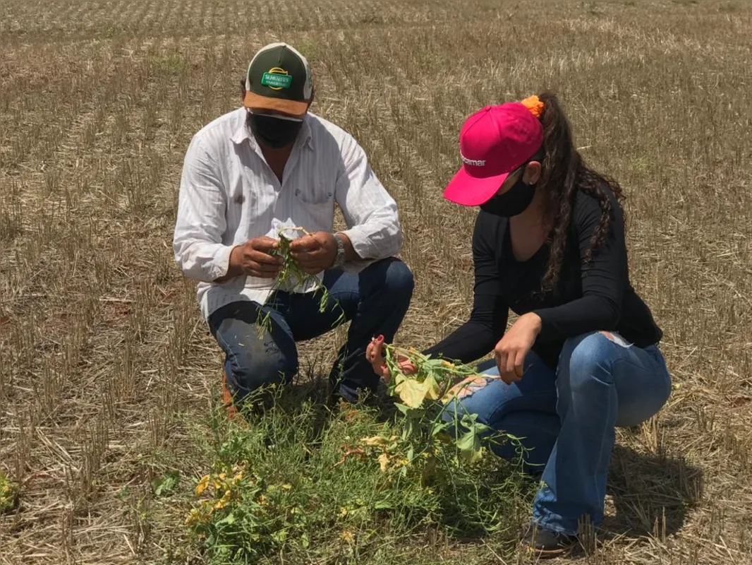 Amanda Alcântara e Francisco Batista, que trabalha na fazenda há 18 anos. A jovem começou a administrar a fazenda como uma empresa