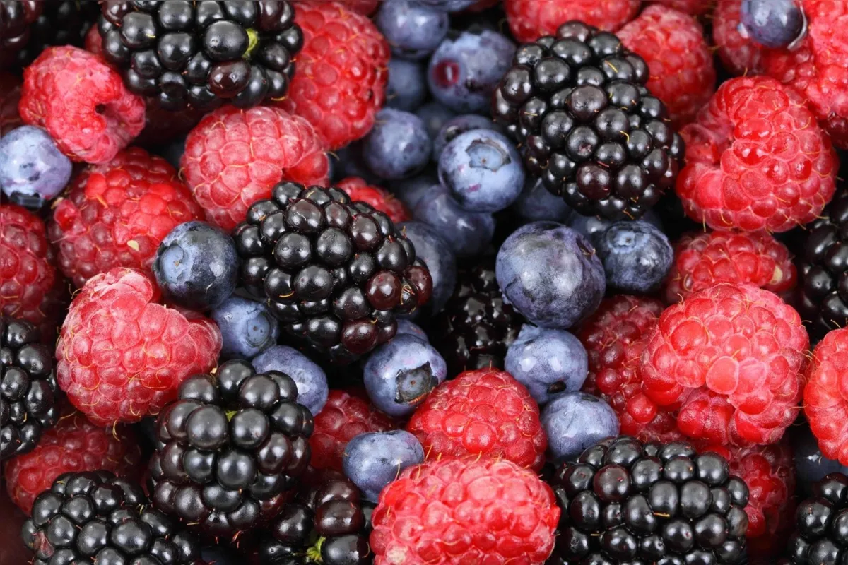 Frutas variadas oferecem uma incrível combinação de sabores