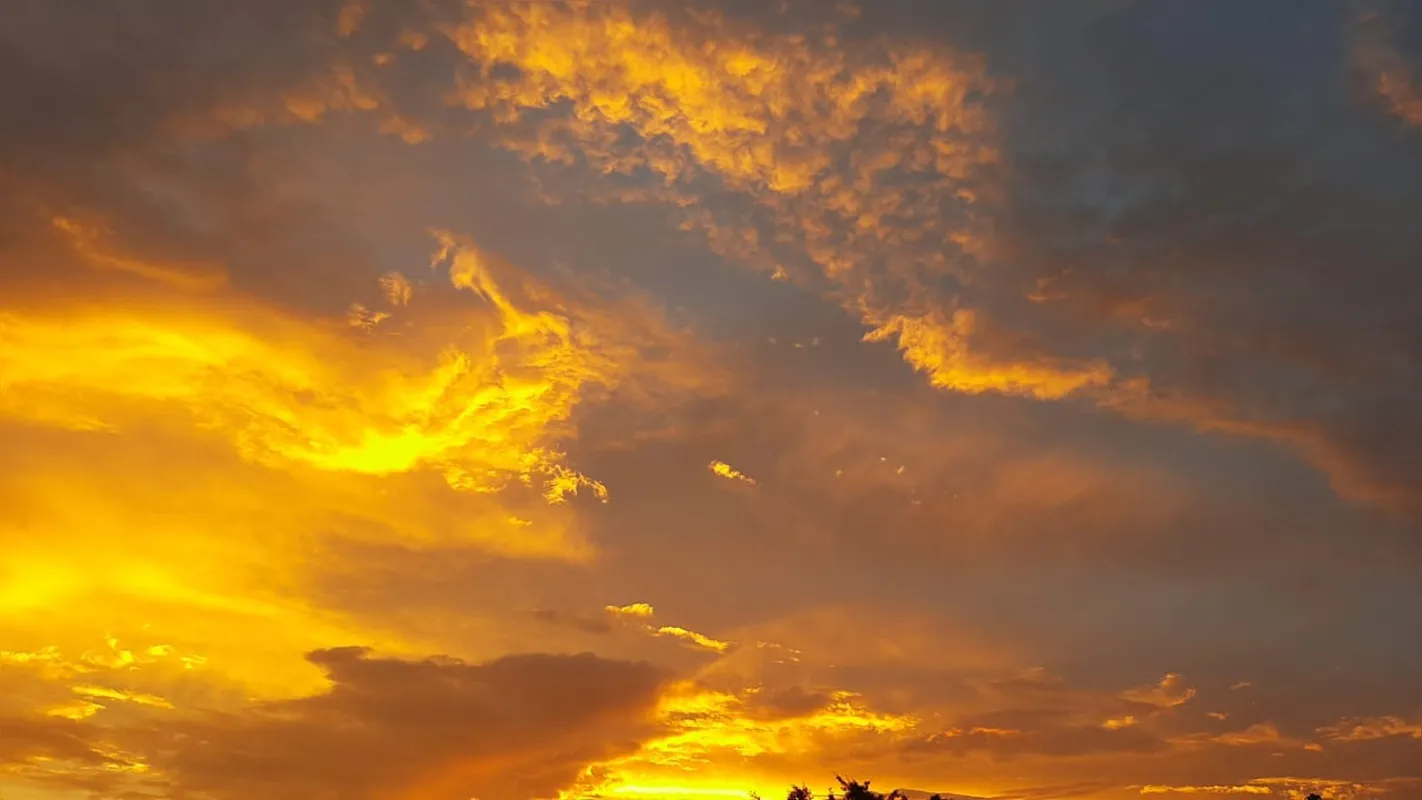 Imagem ilustrativa da imagem A CIDADE FALA - Entardecer