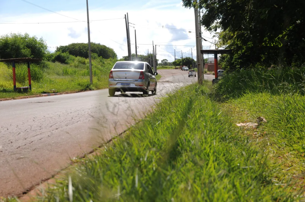 Mato alto no ponto de ônibus e canteiro do jardim Ana Terra é motivo de reclamação dos moradores