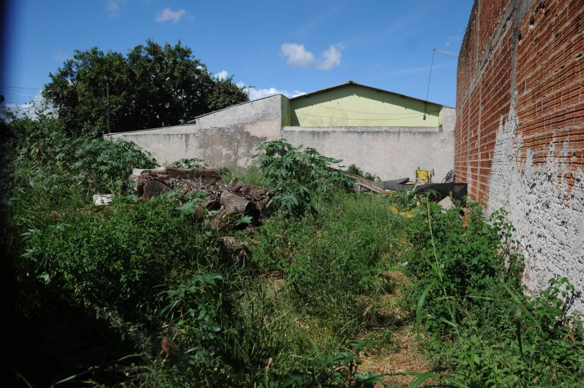 Terreno particular tomado pelo mato, no Jardim Maria Lucia