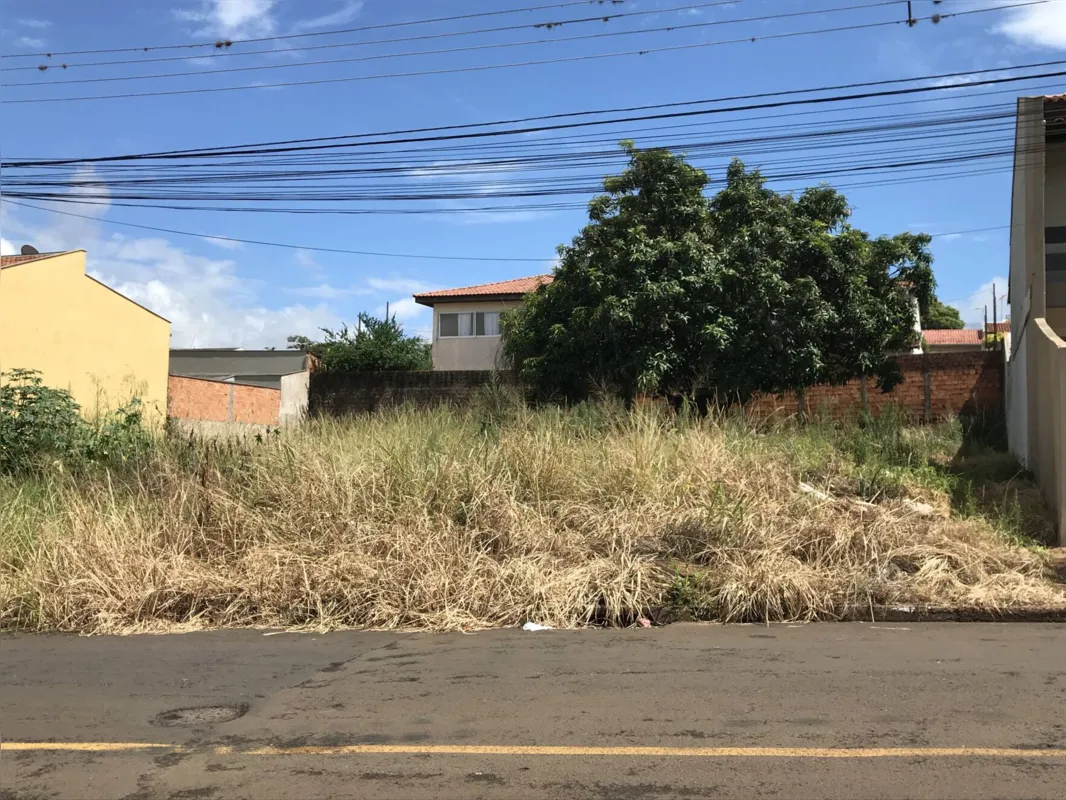 Terreno particular 'abandonado' no Jardim Alpes, incomoda a vizinhança