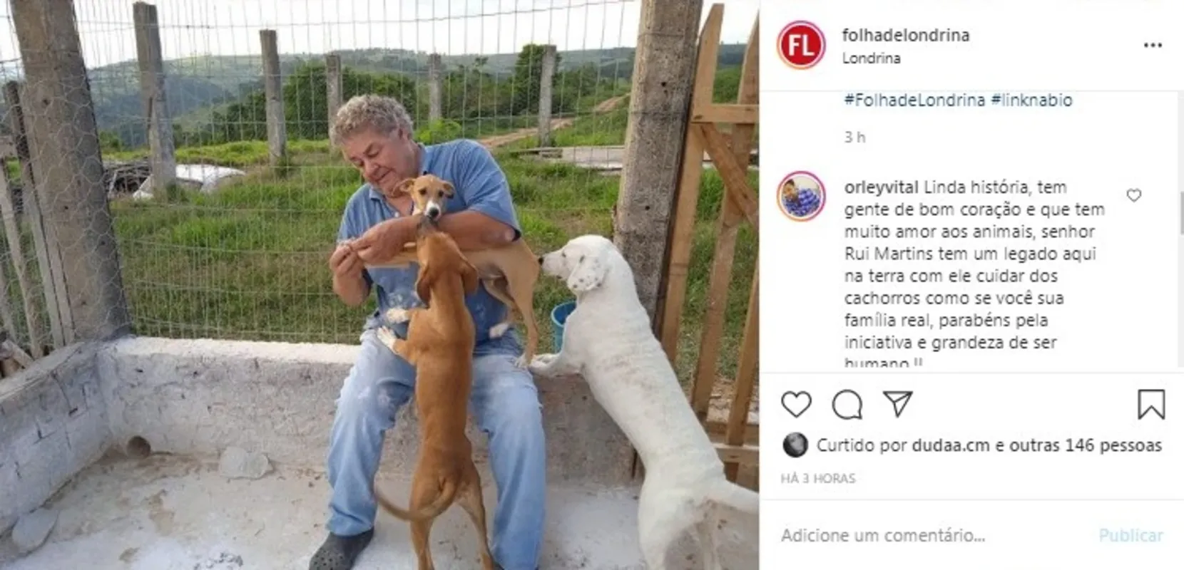 Imagem ilustrativa da imagem FOLHA NAS REDES - Amor aos animais