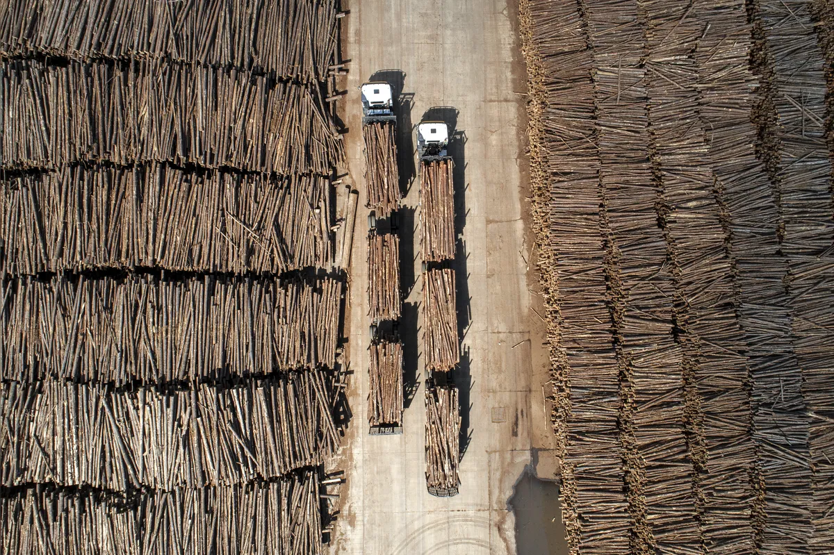Imagem ilustrativa da imagem FOTOGRAFIA| O ano de 2020 em 50 imagens da FOLHA