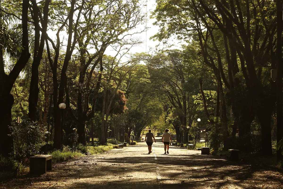 campus da uel vazio mas com algumas atividades apesar da pandemia de covis 19. foto: roberto custodio - folha de londrina - 23-09-2020