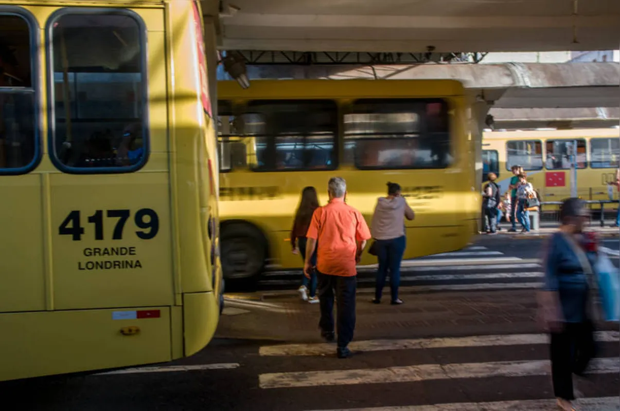 TCGL é responsável por 65% do transporte público urbano