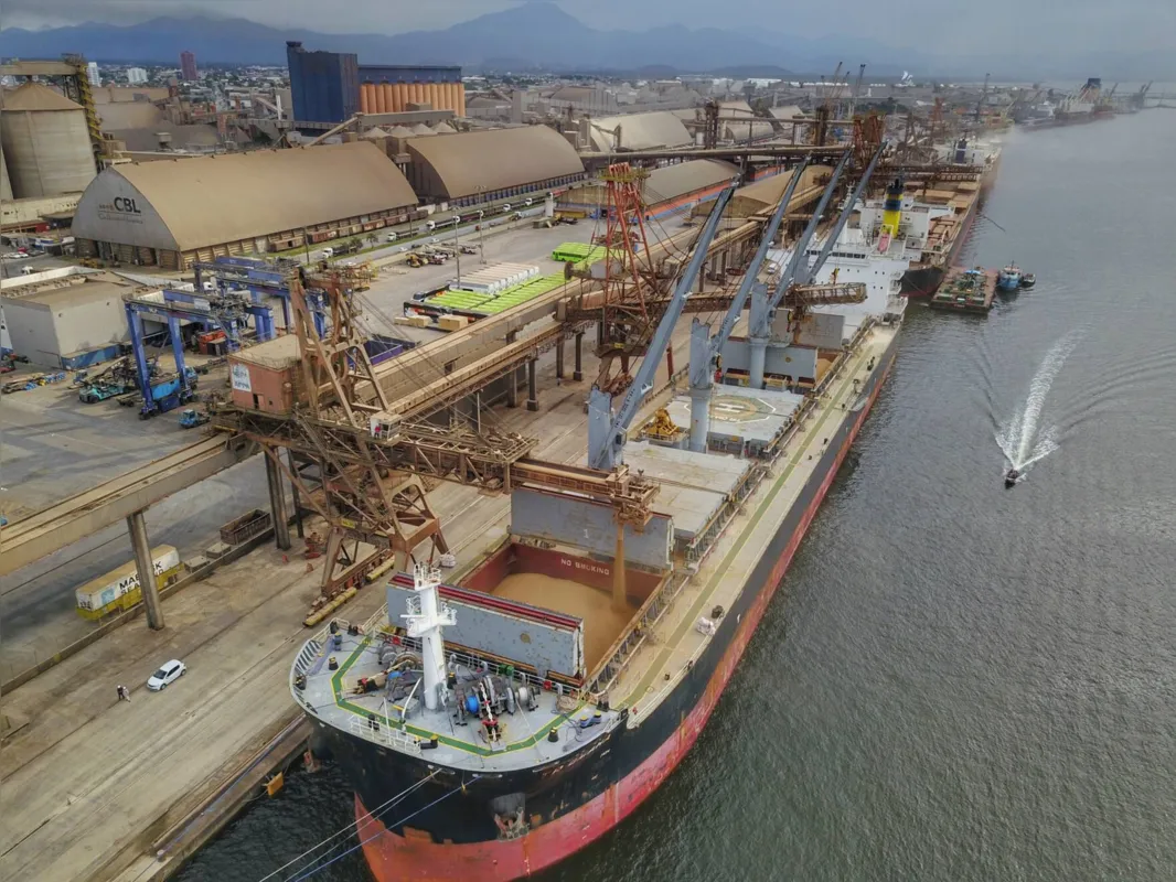 Imagem ilustrativa da imagem Porto prevê 11% de alta nas exportações de grãos no 1º trimestre