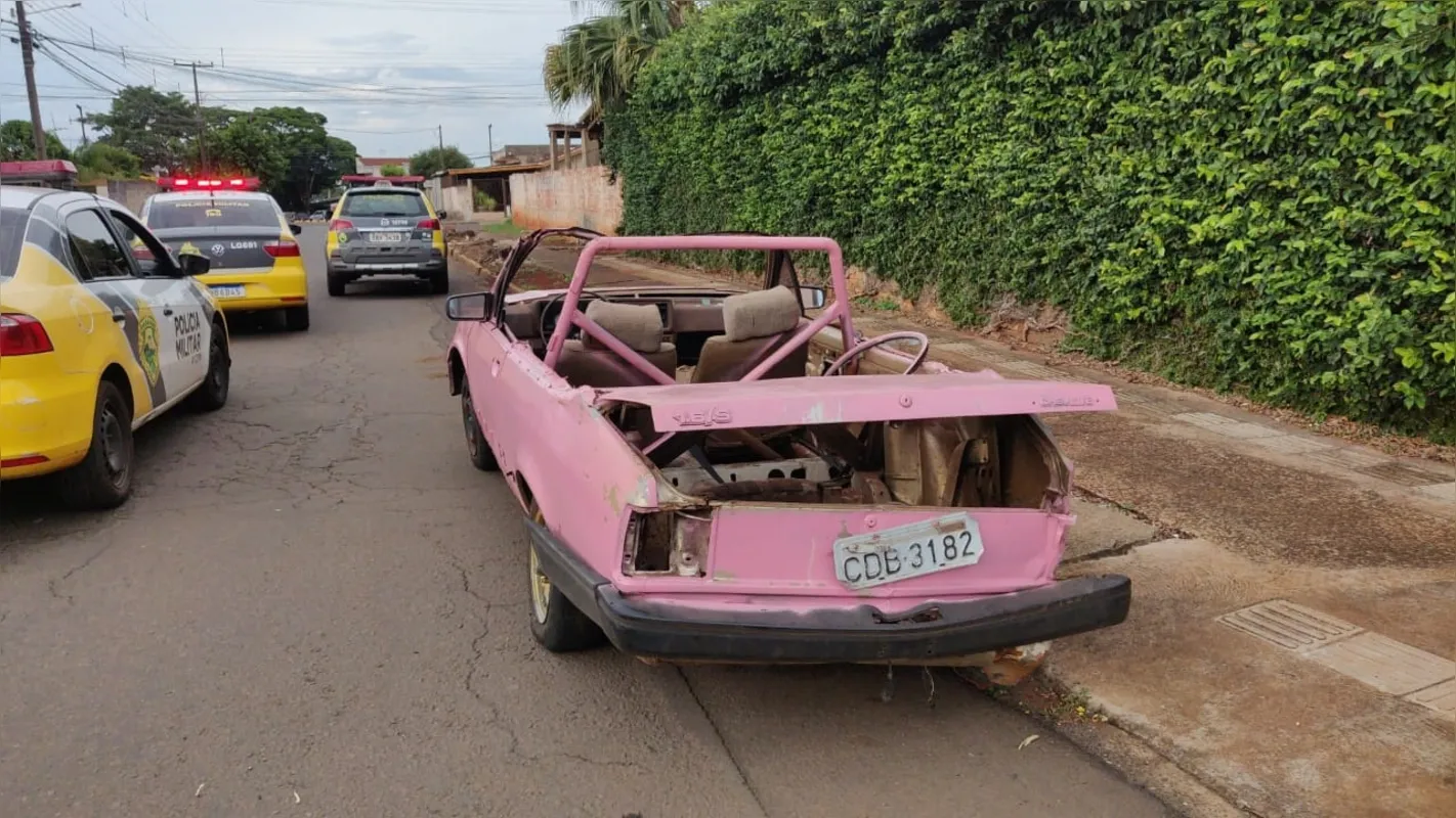Imagem ilustrativa da imagem Secretaria do Ambiente adota medidas contra influenciador que jogou carro no Lago