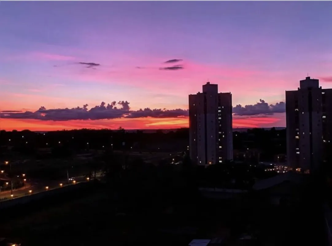 Imagem ilustrativa da imagem A CIDADE FALA - Cor de Flor