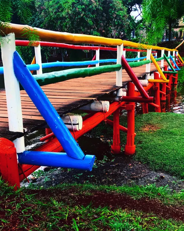 Imagem ilustrativa da imagem A CIDADE FALA - Cores