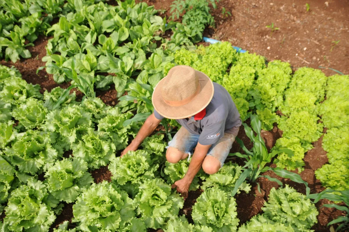 Imagem ilustrativa da imagem Casal muda de ramo e aposta no agro