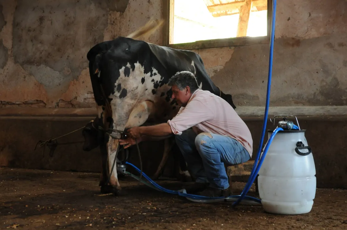 Imagem ilustrativa da imagem Casal muda de ramo e aposta no agro