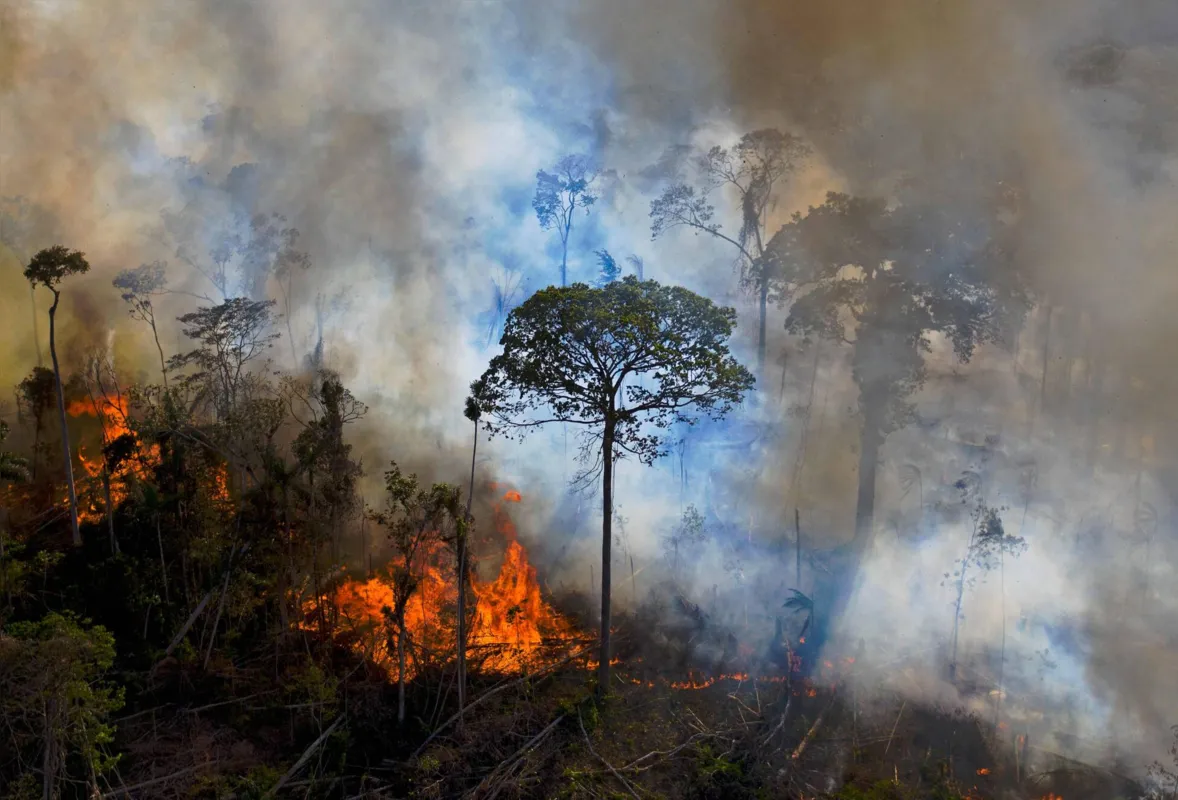 Em todo o ano de 2019, pesquisadores estimaram que a poluição do ar relacionada a queimadas e ao desmatamento implicou um custo para o SUS de cerca de R$ 1,5 milhão