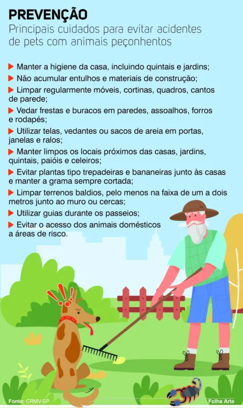 Imagem ilustrativa da imagem Como evitar que os pets sejam atacados por animais peçonhentos