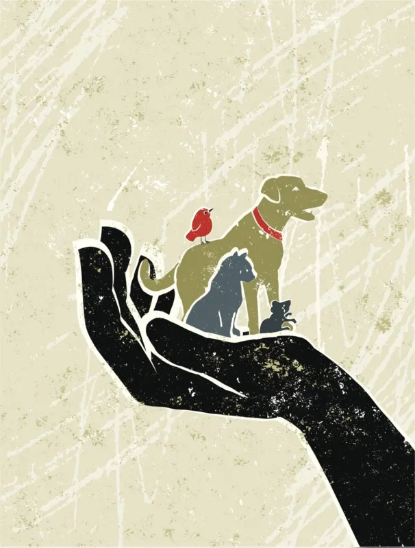 Os pets que convivem com o animal que morreu também sentem a perda e o tutor precisa ficar atento 