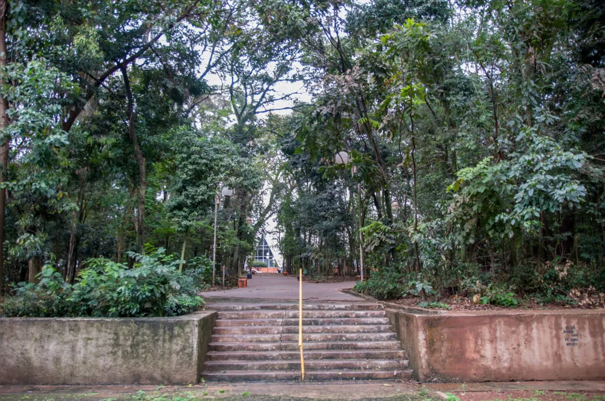 Matéria sobre projeto de lei que altera condição do bosque de reserva permanente para praça para facilitar manutenção - FT: Marcos Zanutto - Folha de Londrina - 02/09/2019