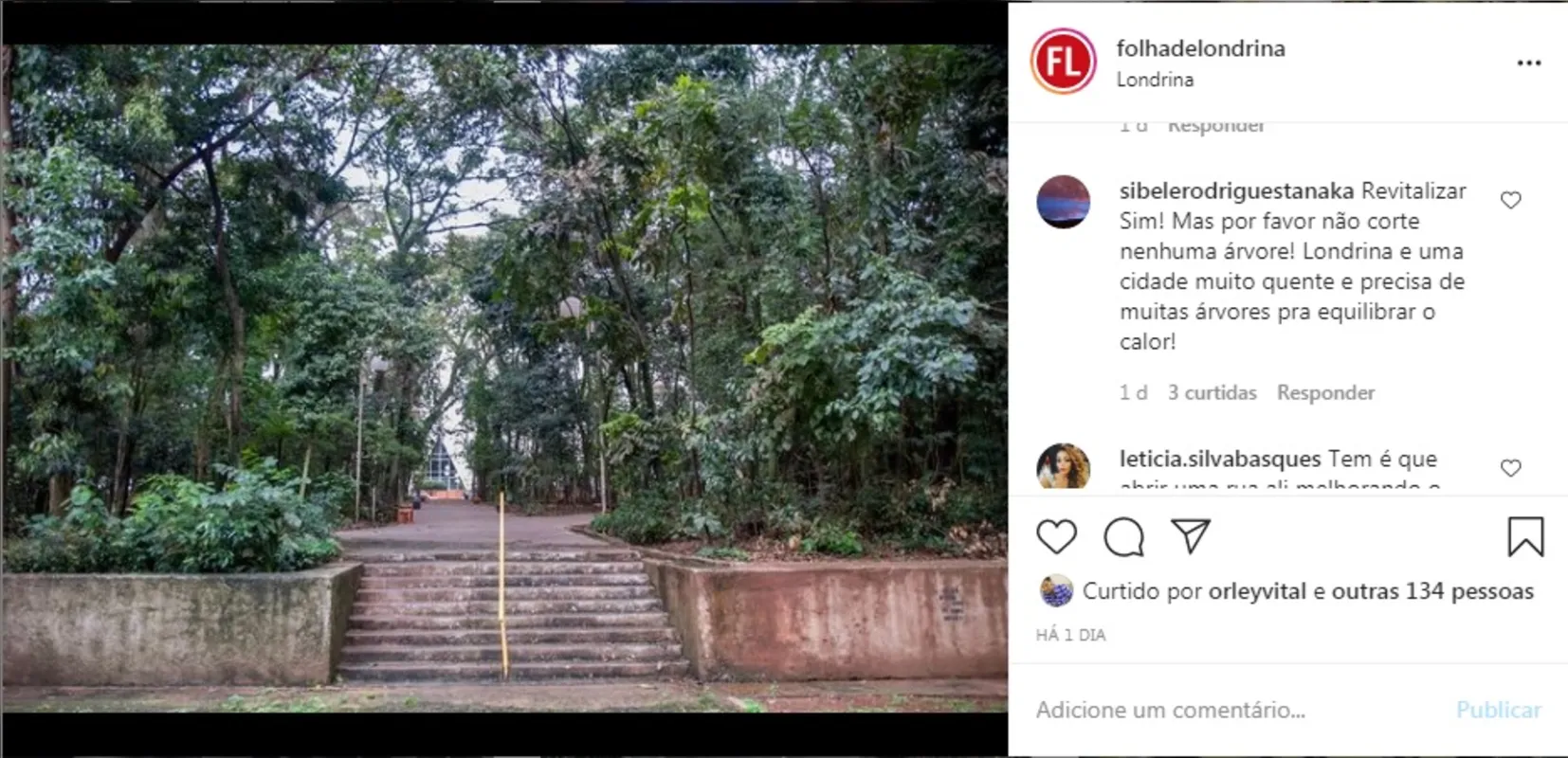 Imagem ilustrativa da imagem FOLHA NAS REDES| BOSQUE CENTRAL