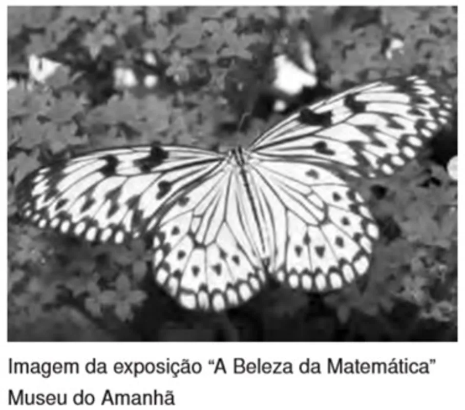 Imagem ilustrativa da imagem FOLHA VEST 2021 - caderno 3 - SIMULADO UEL