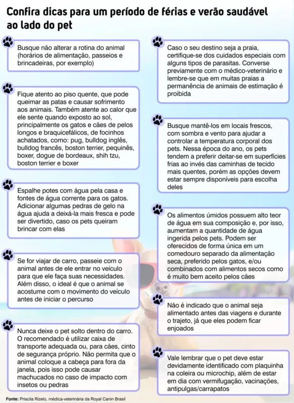 Imagem ilustrativa da imagem Férias com os pets sem abrir mão dos cuidados