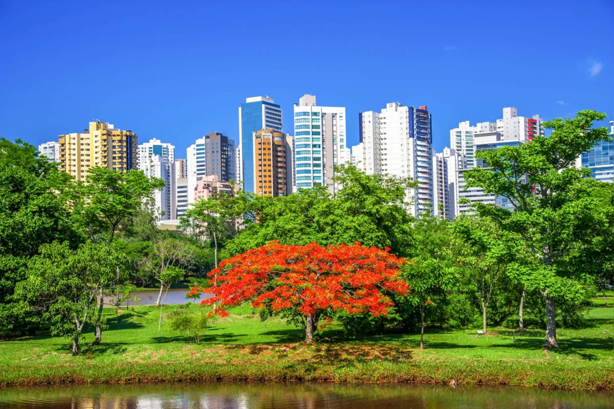  Como não se encantar com os ipês, flamboyants, sibipirunas, aroeiras?