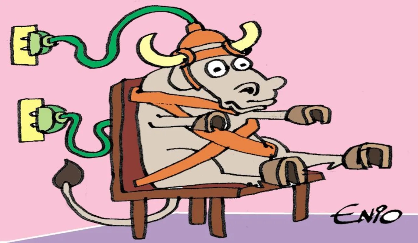 Imagem ilustrativa da imagem Maia quer aglomerar 3 mil em eleição presencial