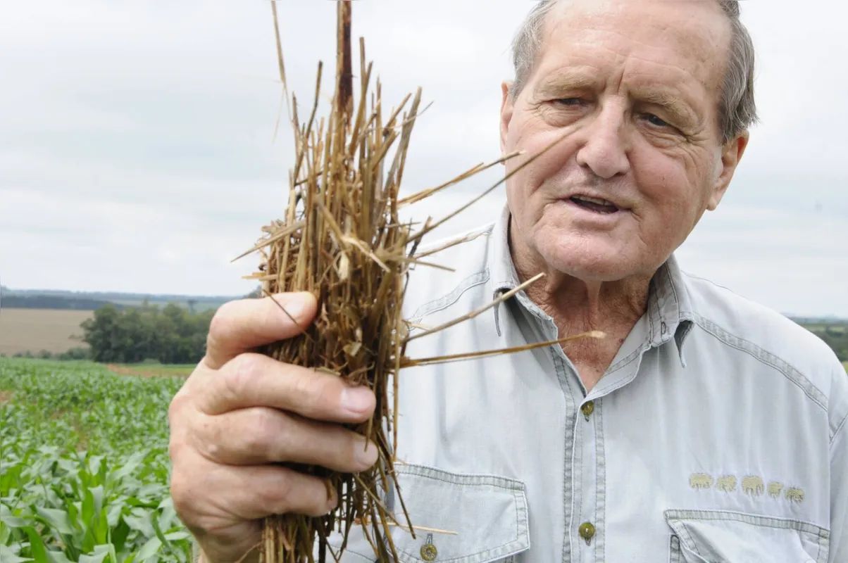 Bartz inovou ao propor o plantio direto, que é usado na América Latina