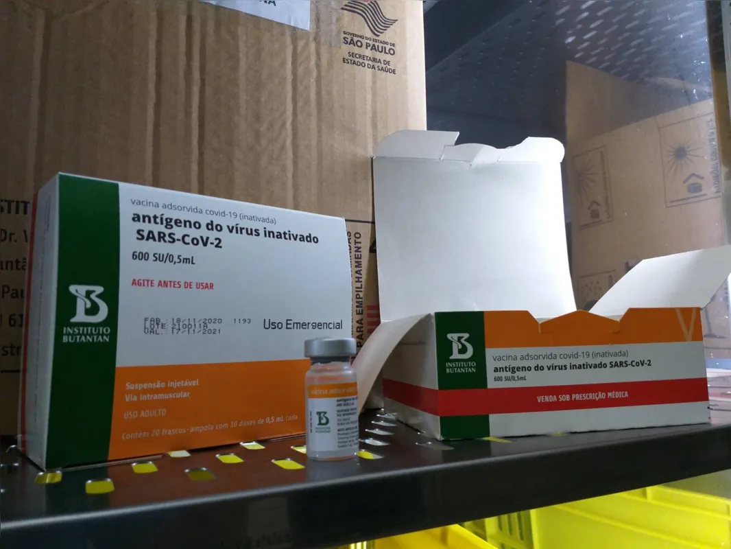 Vacinas foram entregues em Londrina na noite de domingo