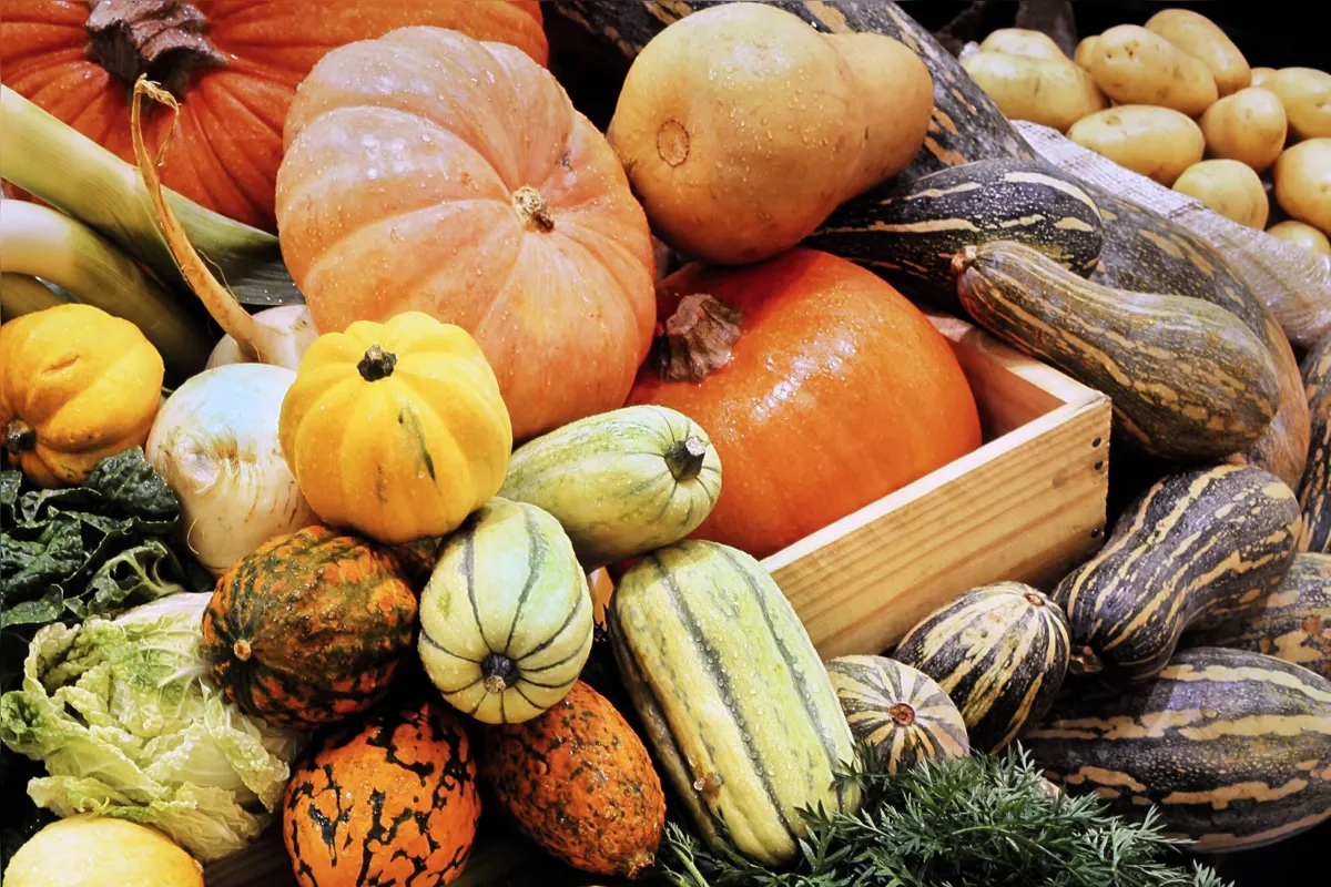 Queridinha dos nutricionistas, abóbora é rica em fibras, minerais e vitaminas