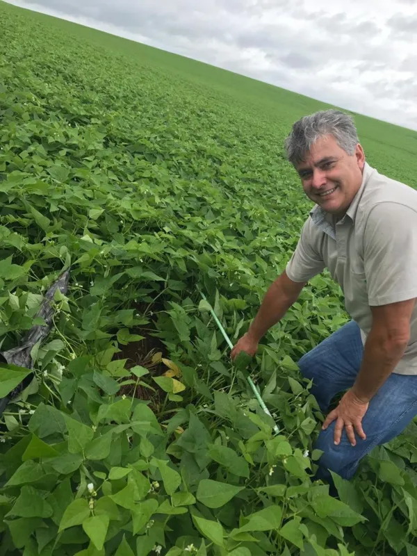 Para extrair o máximo de produtividade, o produtor Roberto da Cunha planta feijão em rotação de culturas com o milho