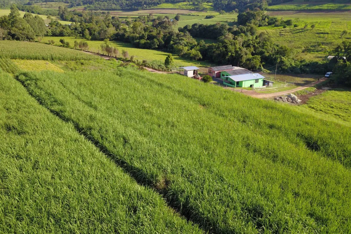 Agricultura inicia novos projetos voltados a pequenos produtores