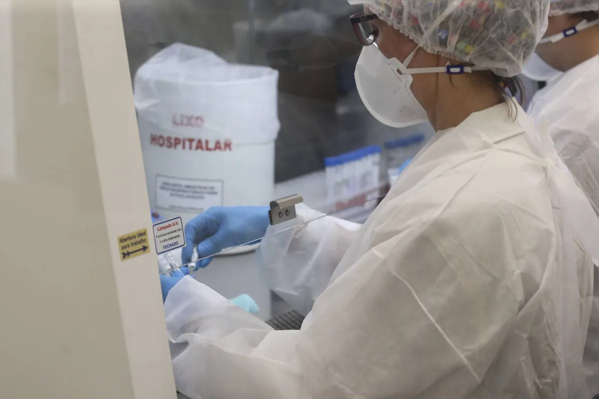 Imagem ilustrativa da imagem Paraná ultrapassa os 480 mil casos da Covid-19