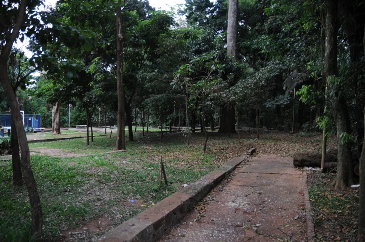 Imagem ilustrativa da imagem População aposta em segurança com a reforma do Bosque em Londrina