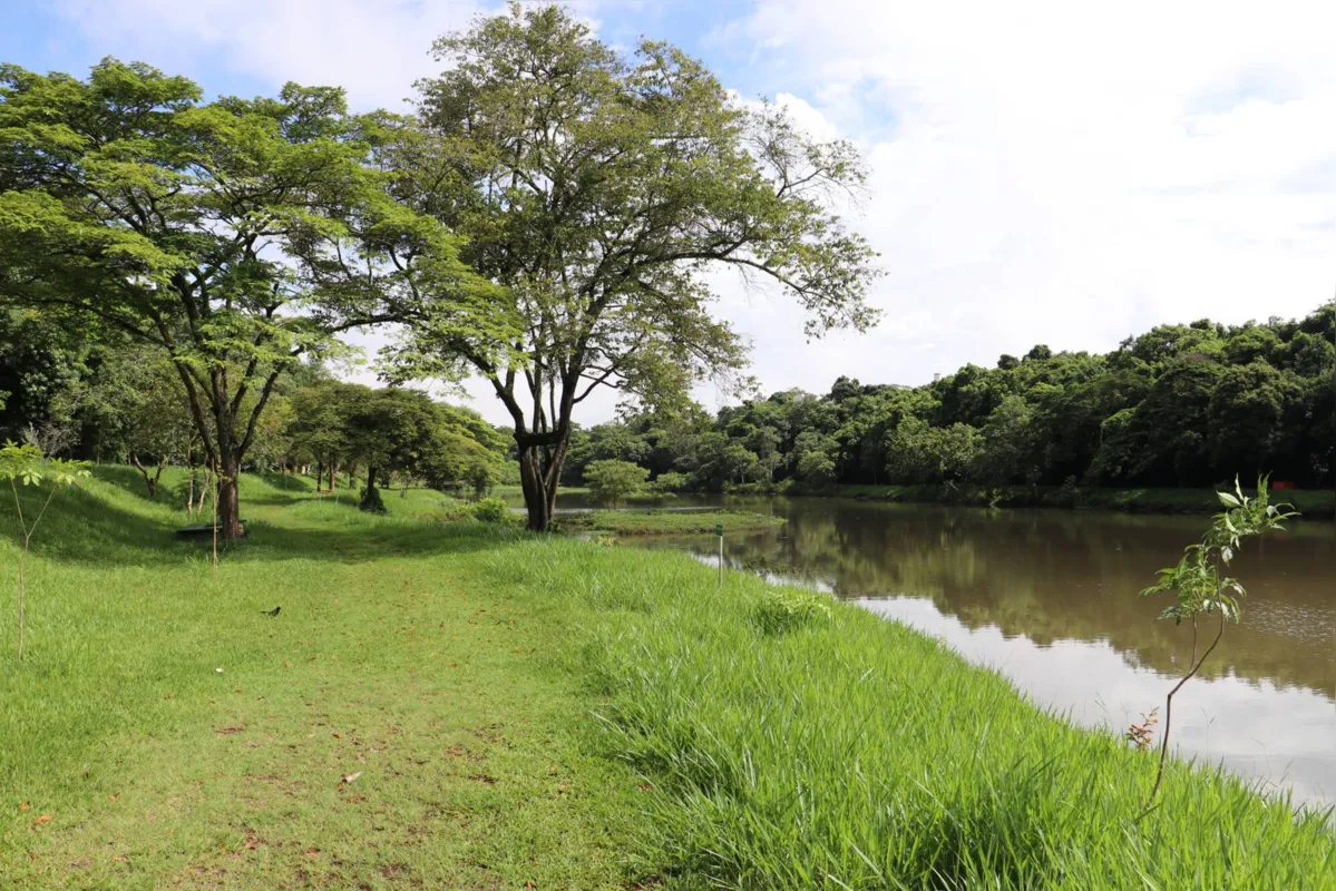 Parque Arthur Thomas é  último remanescente de grande porte de mata florestal no centro de Londrina