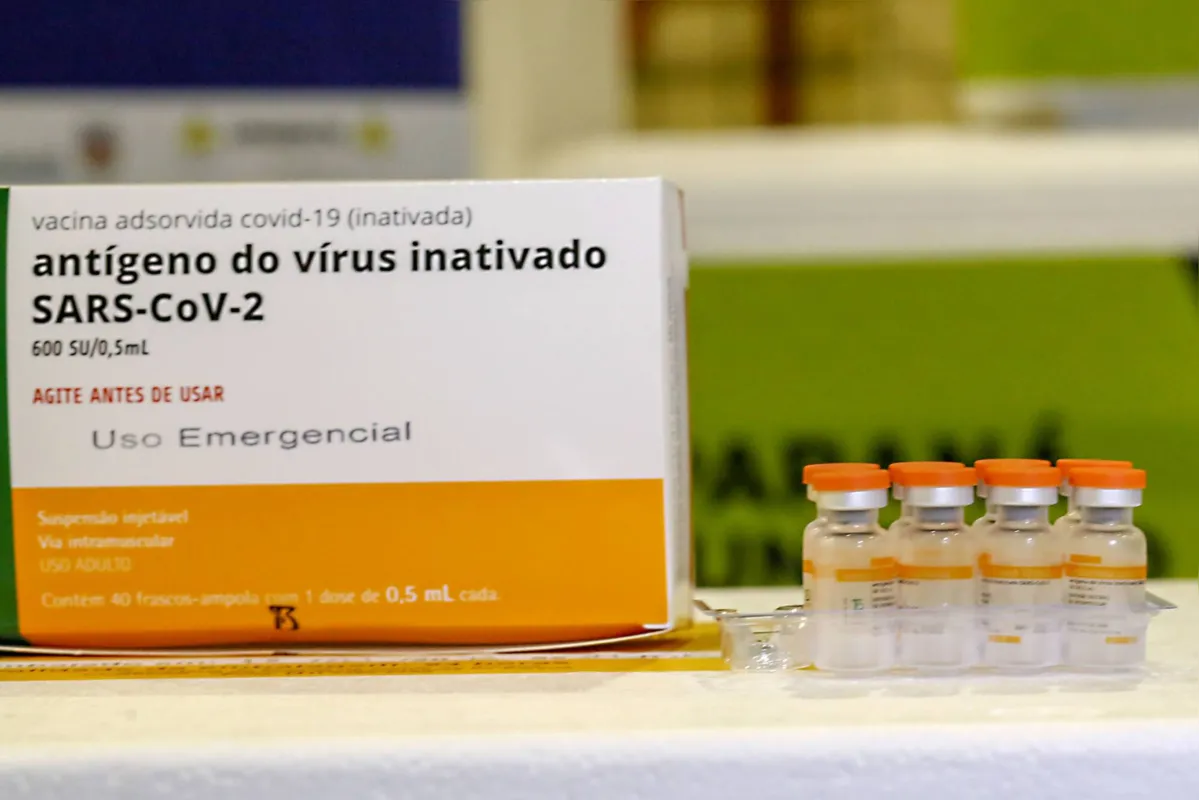 Imagem ilustrativa da imagem Saiba quantas pessoas serão vacinadas nos municípios da região de Londrina