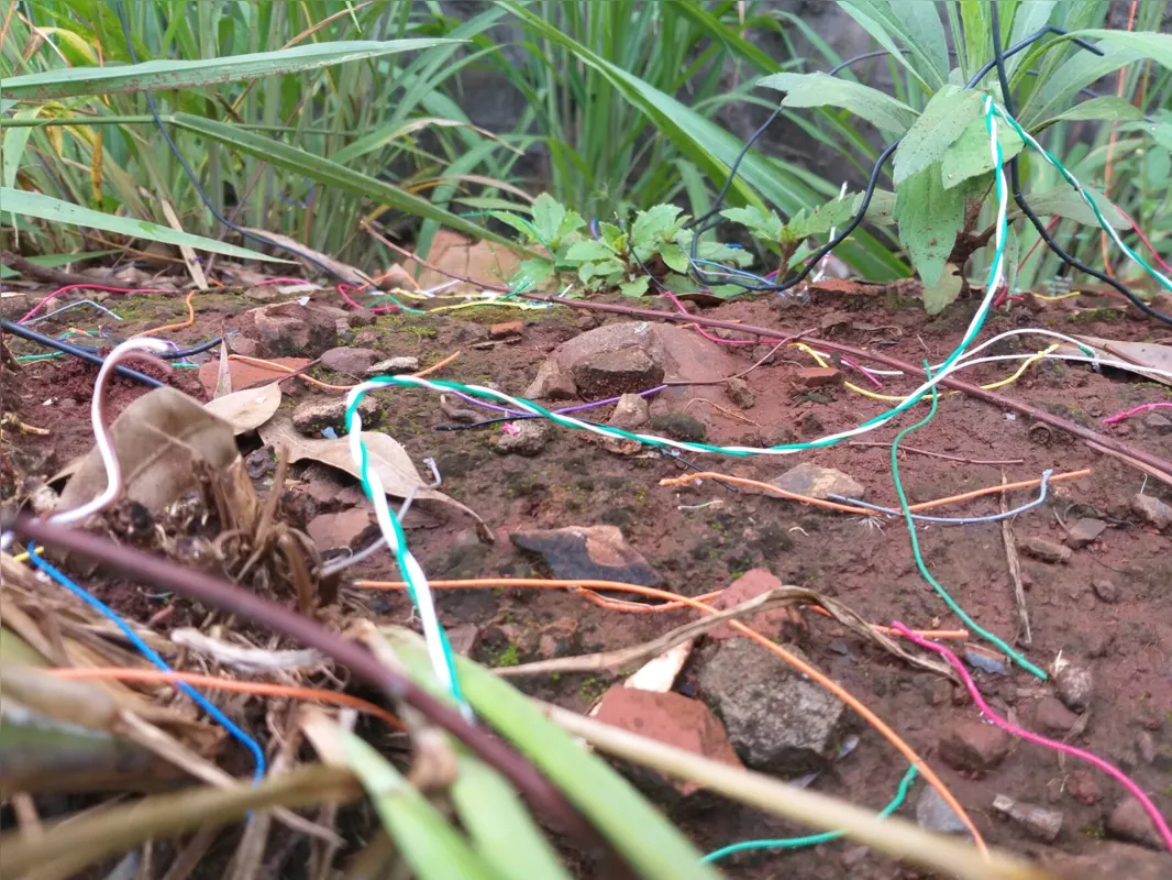 Empresa de telefonia teve prejuízo de R$ 2,5 milhões com reparos e reposição
