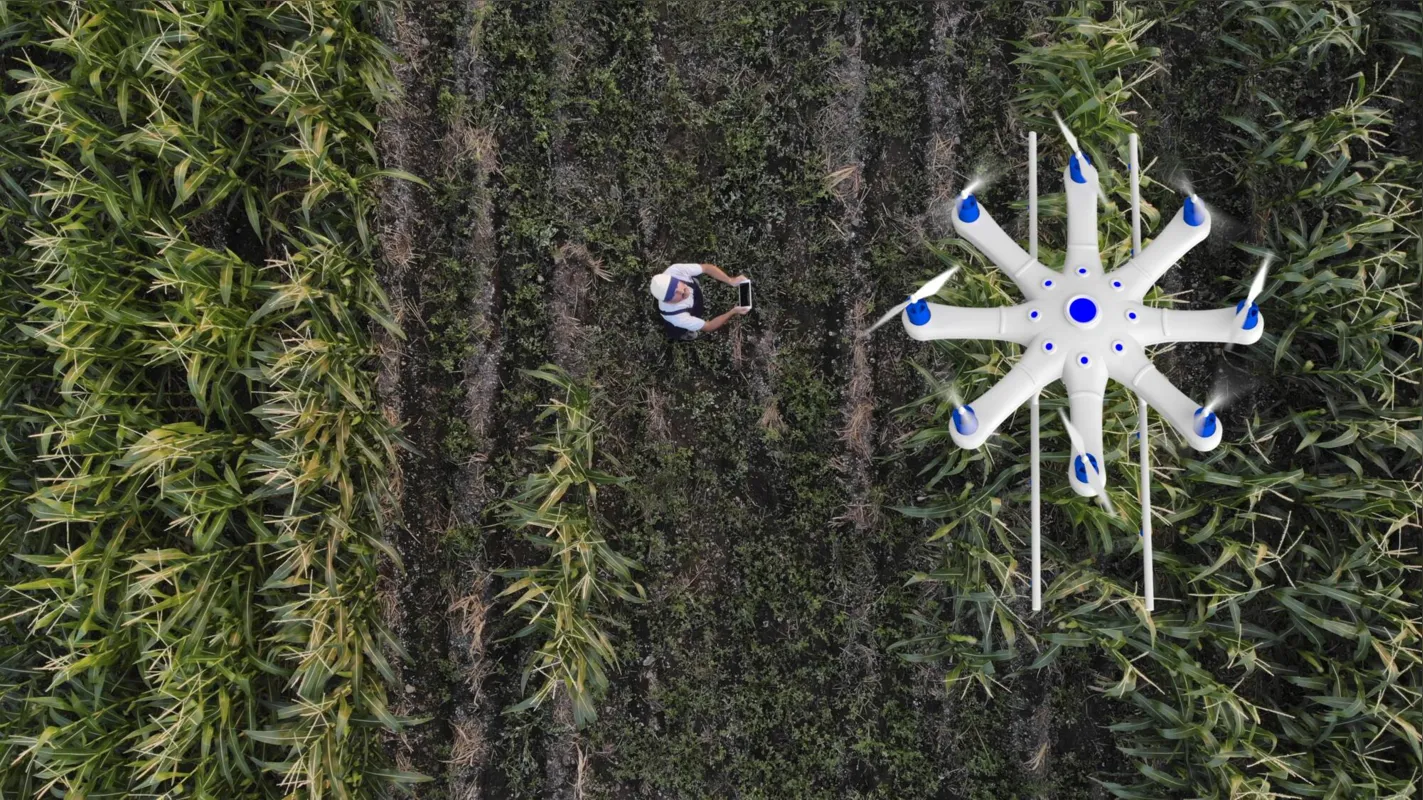 Imagem ilustrativa da imagem Startups avançam no campo e são promessa para investidores