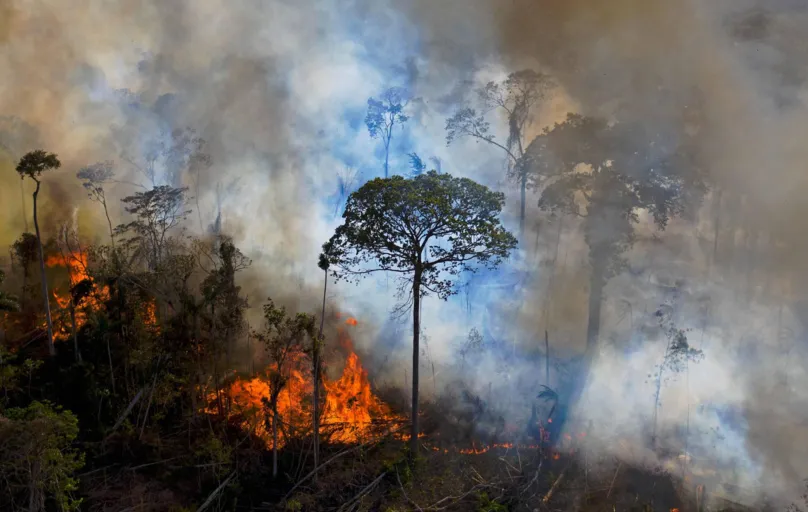 Em todo o ano de 2019, pesquisadores estimaram que a poluição do ar relacionada a queimadas e ao desmatamento implicou um custo para o SUS de cerca de R$ 1,5 milhão