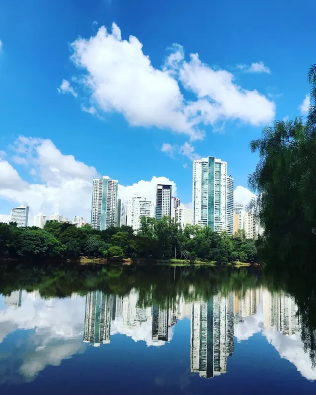 Imagem ilustrativa da imagem A CIDADE FALA - Alto e reflexo